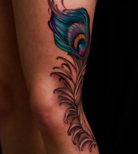 Blue and green peacock tattoo