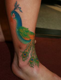 Colorful blue, green peacock tattoo on leg