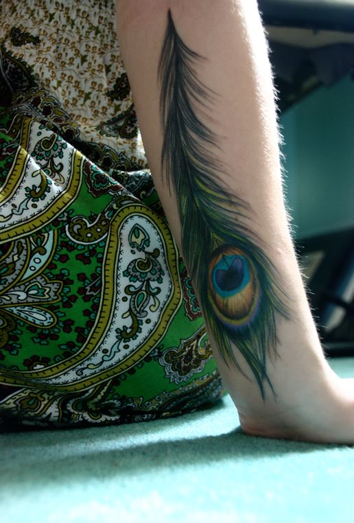 Lovely feather of peacock tattoo