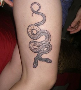 double snake tattoo