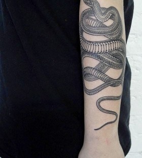 vibrant snake tattoo