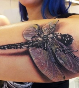 3D dragonfly on arm tattoo