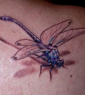 3D dragonfly on shoulder tattoo