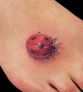 3D ladybird on foot tattoo