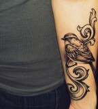Cute Sparrow Bird Tattoo on Forearm