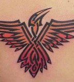 Celtic Fire Bird Tattoo Design