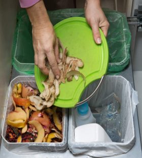 5 Kinds of Waste and How to Dispose of Them