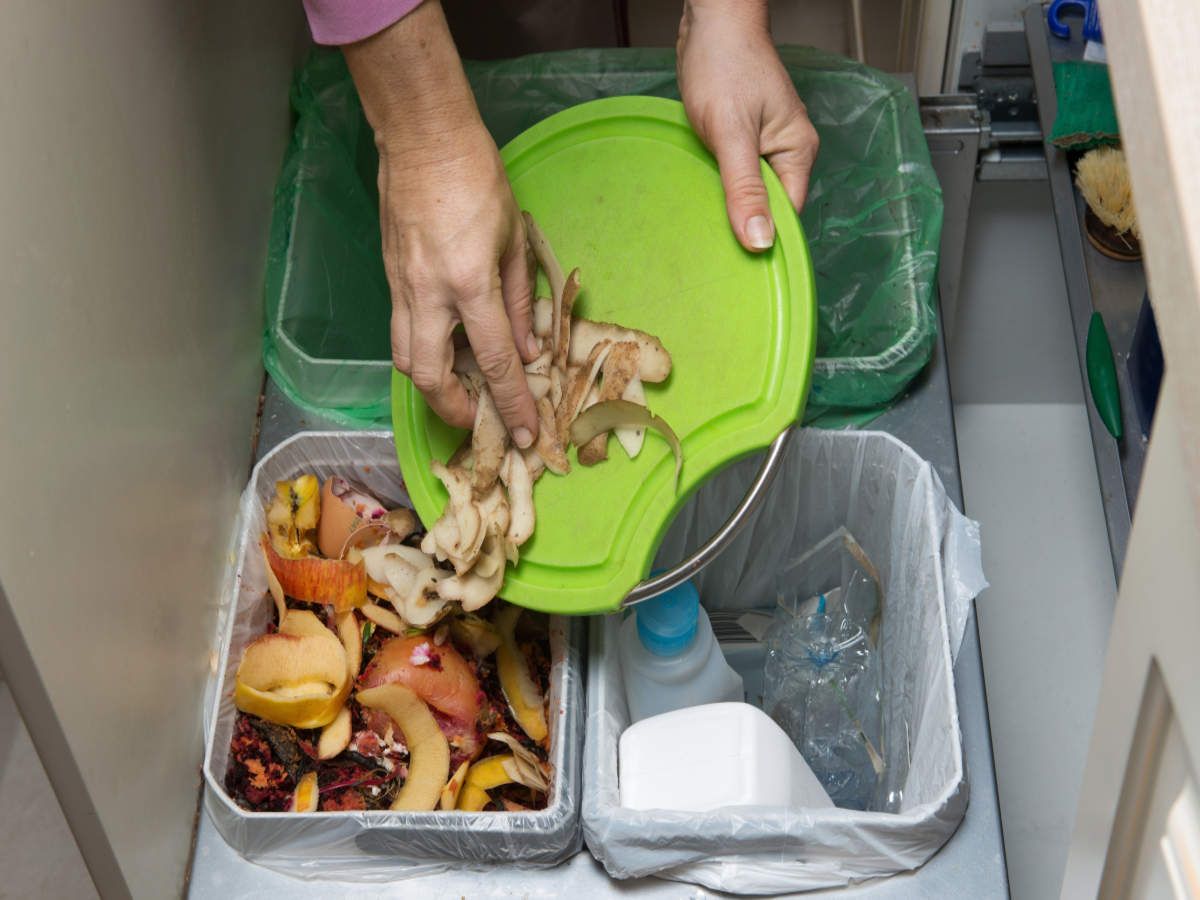 5 Kinds of Waste and How to Dispose of Them