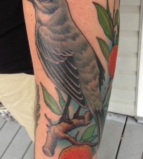 Adorable mockingbird on a branch tattoo