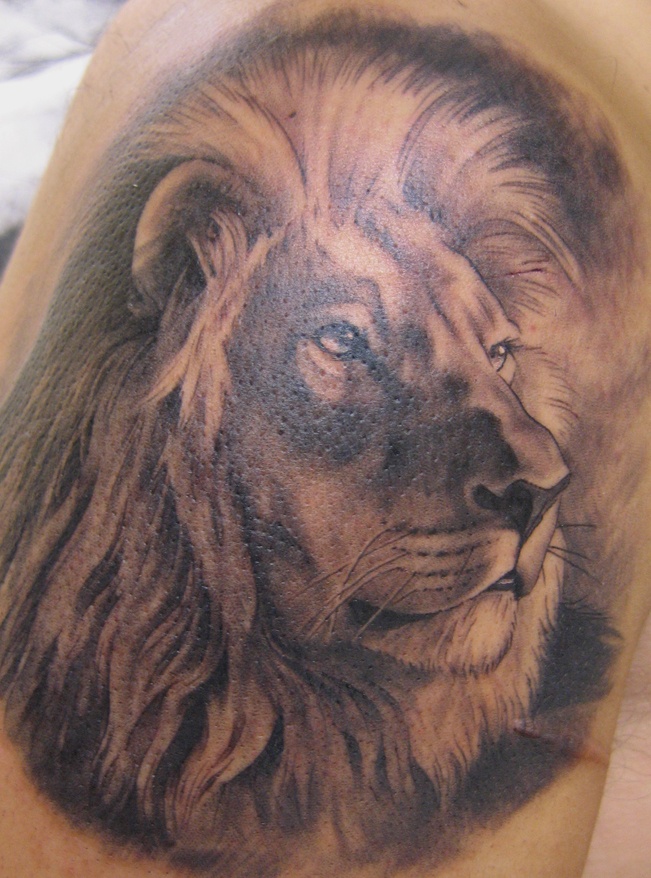 Amazing lion tattoo by Xavier Garcia Boix