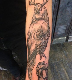 Awesome bird tattoo by Rachel Hauer