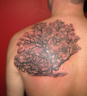 Awesome oak back tattoo