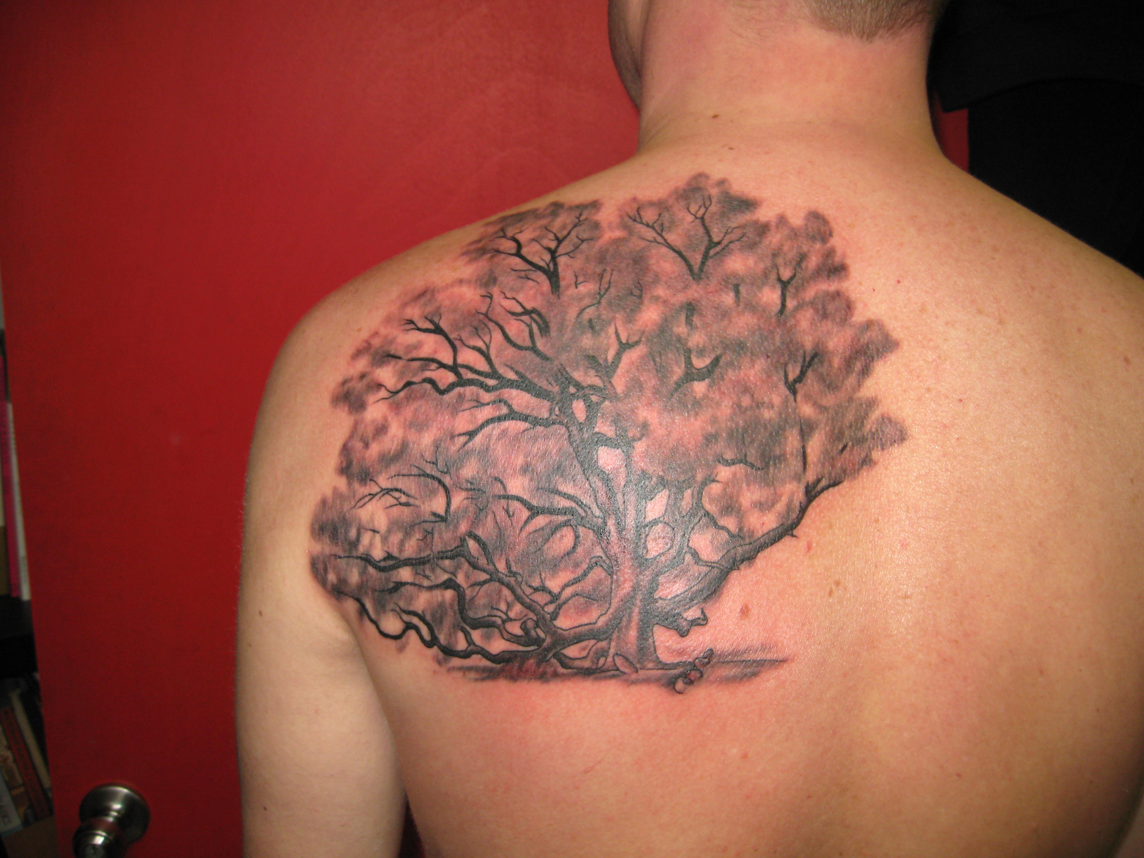 Awesome oak back tattoo, Oak tree tattoos.