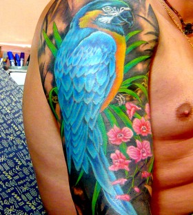 Awesome parrot arm tattoo