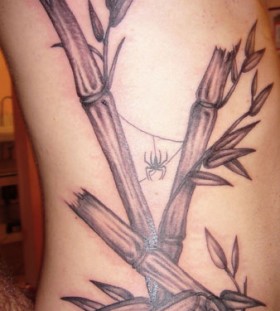 Bamboo and spider side tattoo