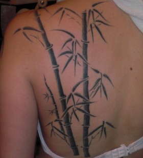 Bamboo tree back tattoo