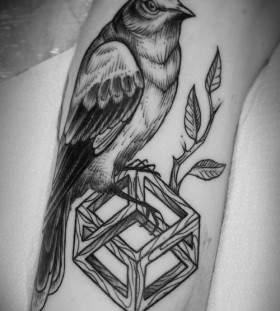 Beautiful mockingbird tattoo