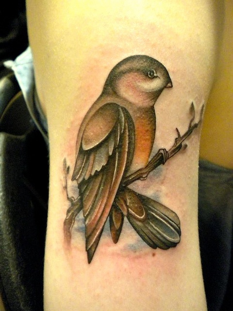 Bird on a branch tattoo by Amanda Leadman