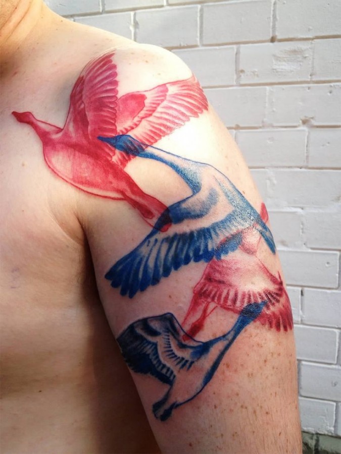 Blue and red birds tattoos