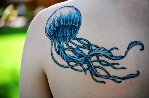 Blue jellyfish back tattoo