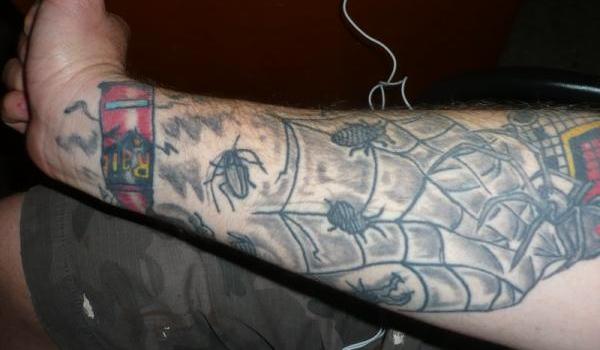 Bugs in spider web tattoo