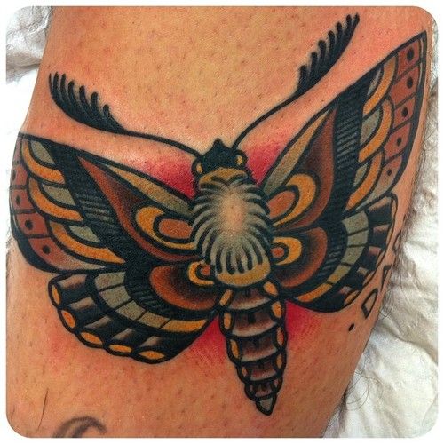 Butterfly tattoo by W. T. Norbert