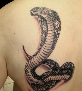 Calm cobra back tattoo