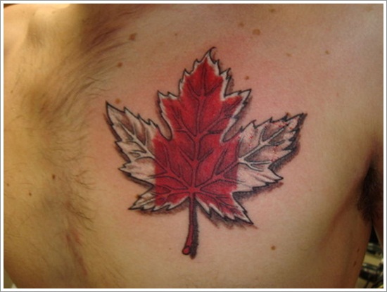 Canadian maple leaf chest tattoo