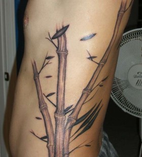 Coloured bamboo side tattoo