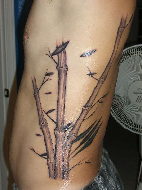 Coloured bamboo side tattoo