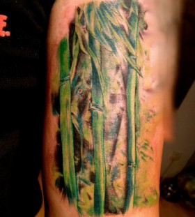Colourful bamboo arm tattoo
