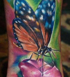 Colourful butterfly tattoo by Kyle Cotterman