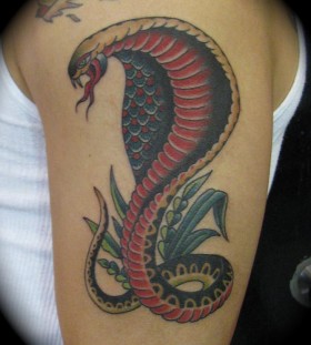Colourful cobra arm tattoo