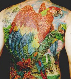 Colourful full back parrot tattoo