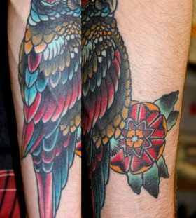 Colourful parrot arm tsttoo