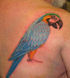 Colourful parrot back tattoo