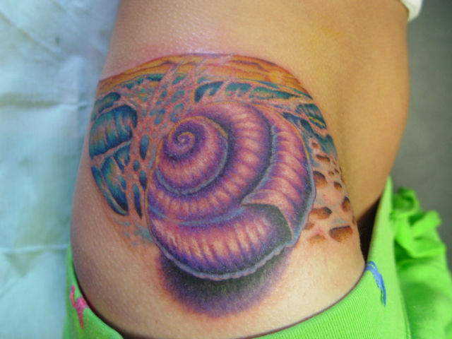 Colourful sea shell hip tattoo