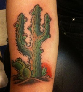 Cool cactus arm tattoo