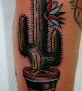 Cool coloured cactus tattoo