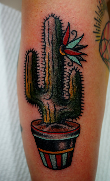 Cool coloured cactus tattoo