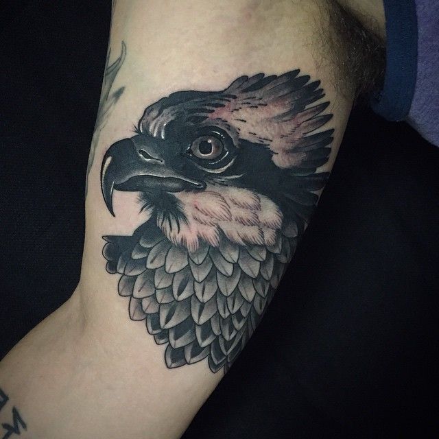 Cool eagle arm tattoo