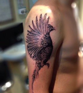 Cool pheasant arm tattoo