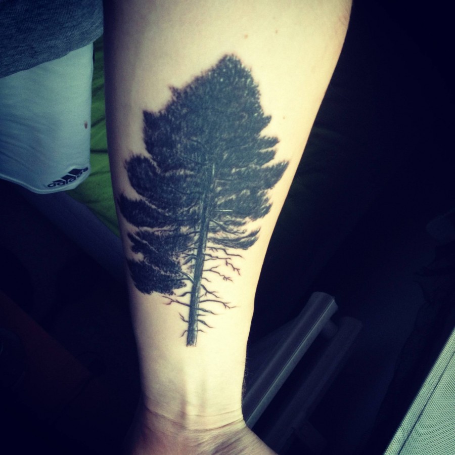 Cool pine tree tattoo
