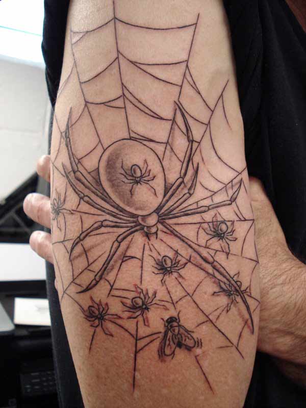 Cool spider web arm tattoo