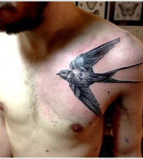 Cool swallow chest tattoo