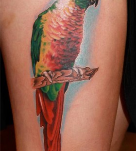 Cute parrot leg tattoo