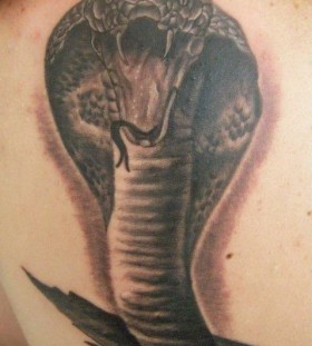 Deadly biting cobra tattoo