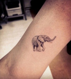 Elephant tattoo by Dr Woo