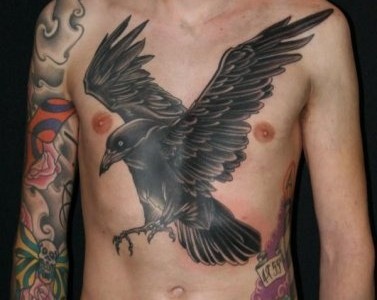 Flying raven chest tattoo