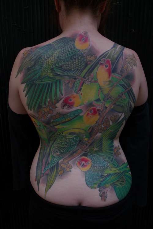 Full back parrot tattoo
